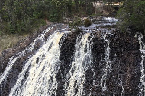 Cruise Ship Excursion: Stanley - Palm Beach Accommodation 15