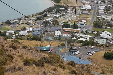 Cruise Ship Excursion: Stanley - Palm Beach Accommodation 14