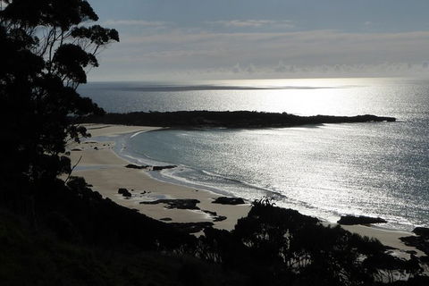 Cruise Ship Excursion: Stanley - Palm Beach Accommodation 24