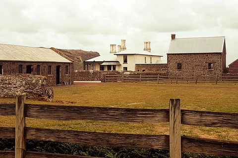 Cruise Ship Excursion: Stanley - Palm Beach Accommodation 17