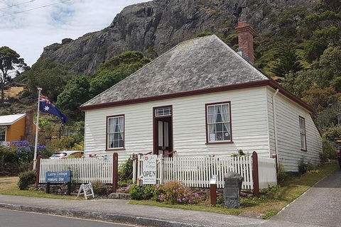 Cruise Ship Excursion: Stanley - Palm Beach Accommodation 19