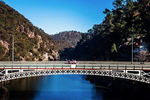 3.5 Hours Walking Tour To Cataract Gorge With Local Guide - Palm Beach Accommodation 5
