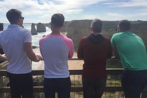LGBT+ Friendly 9-Hour Great Ocean Road Private Tour - Palm Beach Accommodation 2