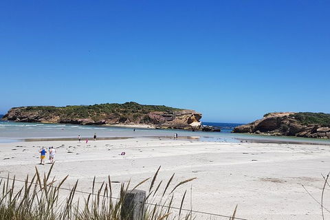 Warrnambool Wanderer Tour - Palm Beach Accommodation 1