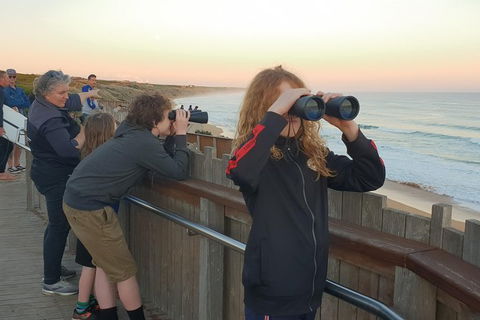 Warrnambool Wanderer Tour - Palm Beach Accommodation 2