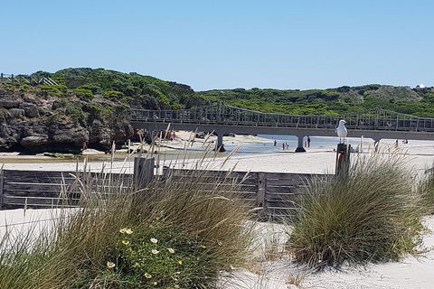 Warrnambool Wanderer Tour - Palm Beach Accommodation 3