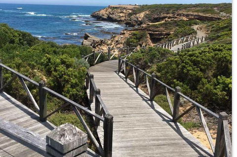 Warrnambool Wanderer Tour - Palm Beach Accommodation 0
