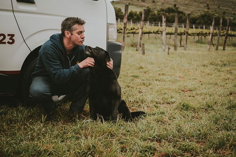 Daylesford Private, Corporate, Group Wine Tours: Wine, Cider, Gin, Vodka, Port! - Palm Beach Accommodation 3