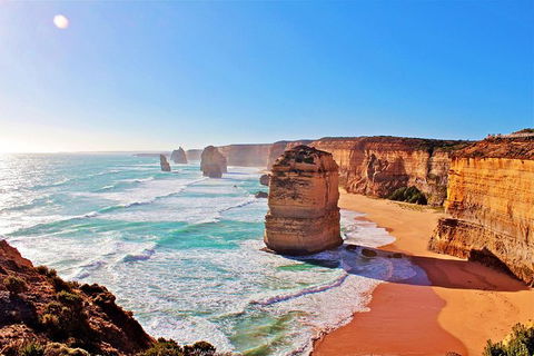 Cruise Ship Shore Excursion - Private Great Ocean Road Full Day Tour (12 Hour) - Palm Beach Accommodation 2