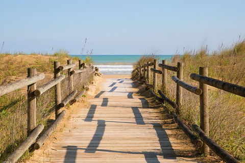Cruise Ship Shore Excursion - Private Great Ocean Road Full Day Tour (12 Hour) - Palm Beach Accommodation 0
