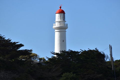 Great Ocean Road Tour Plus Koalas, Forest Walk And Morning Tea. - Palm Beach Accommodation 1