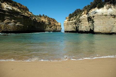 Great Ocean Road Tour Plus Koalas, Forest Walk And Morning Tea. - Palm Beach Accommodation 4