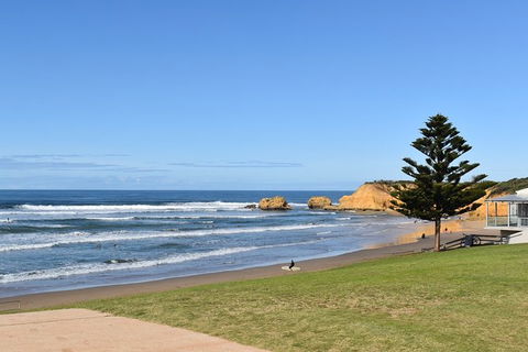 Great Ocean Road Tour Plus Koalas, Forest Walk And Morning Tea. - Palm Beach Accommodation 3