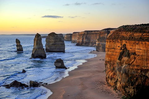 Great Ocean Road Tour Plus Koalas, Forest Walk And Morning Tea. - Palm Beach Accommodation 0