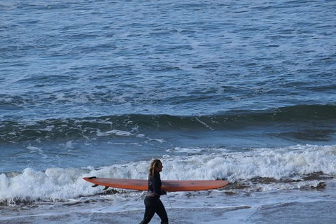 Great Ocean Road Tour Plus Koalas, Forest Walk And Morning Tea. - Palm Beach Accommodation 8