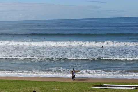 Great Ocean Road Tour Plus Koalas, Forest Walk And Morning Tea. - Palm Beach Accommodation 9