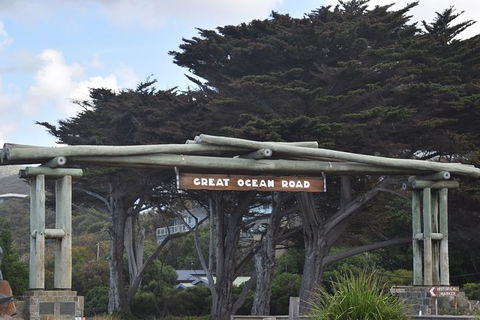 Great Ocean Road Tour Plus Koalas, Forest Walk And Morning Tea. - Palm Beach Accommodation 7