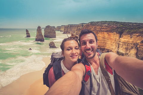 Great Ocean Road Tour Plus Koalas, Forest Walk And Morning Tea. - Palm Beach Accommodation 5