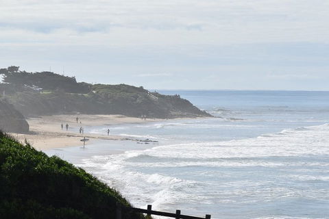 Great Ocean Road Tour Plus Koalas, Forest Walk And Morning Tea. - Palm Beach Accommodation 10