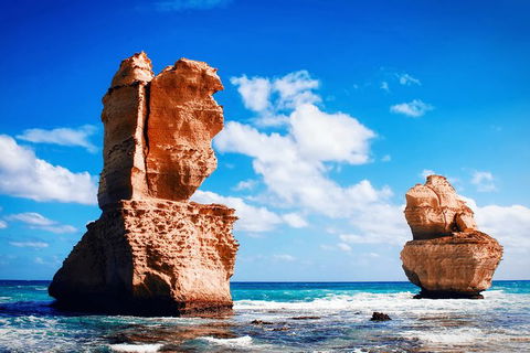 Great Ocean Road Tour Plus Koalas, Forest Walk And Morning Tea. - Palm Beach Accommodation 11