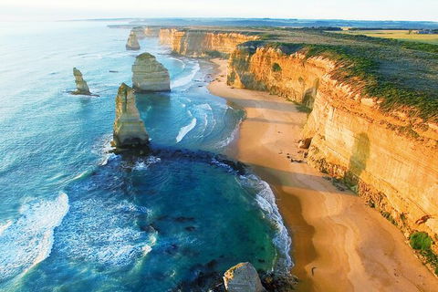 LGBT+ Friendly 2 Day Private Great Ocean Road Tour - Palm Beach Accommodation 3