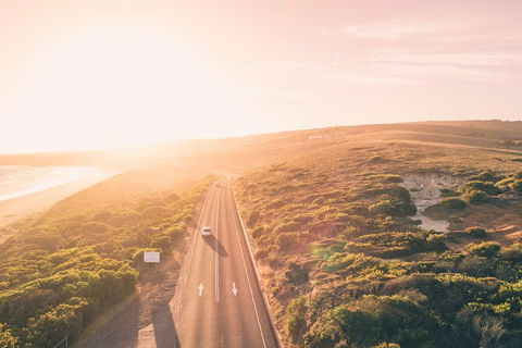 LGBT+ Friendly 2 Day Private Great Ocean Road Tour - Palm Beach Accommodation 1