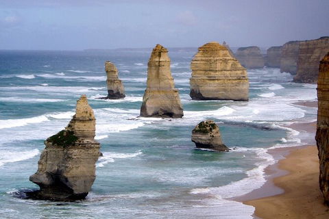 LGBT+ Friendly 2 Day Private Great Ocean Road Tour - Palm Beach Accommodation 0