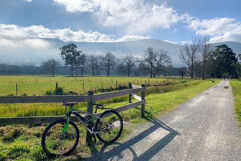 Aqueduct And Rail Trail Self-Guided Bike Tour In Warburton - Palm Beach Accommodation 5