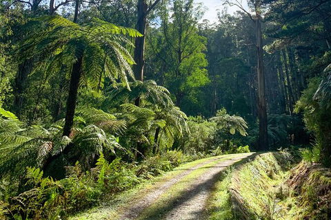 Aqueduct And Rail Trail Self-Guided Bike Tour In Warburton - Palm Beach Accommodation 3