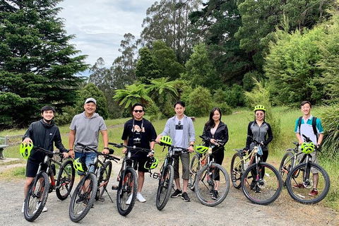 Aqueduct And Rail Trail Self-Guided Bike Tour In Warburton - Palm Beach Accommodation 0