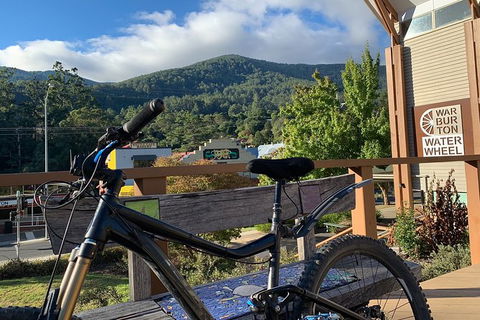 Aqueduct And Rail Trail Self-Guided Bike Tour In Warburton - Palm Beach Accommodation 2