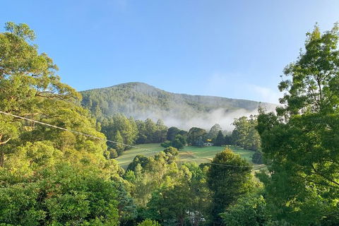 Hiking Tour To Aqueduct And Warburton Valley Lookout - Palm Beach Accommodation 0