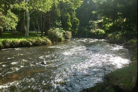 Watertube Experience In Yarra River - Palm Beach Accommodation 3