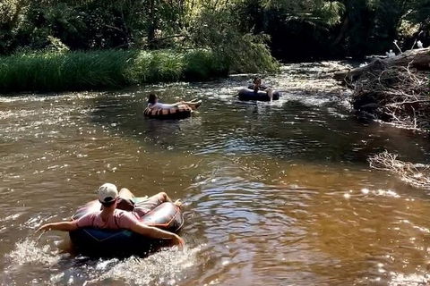 Watertube Experience In Yarra River - Palm Beach Accommodation 8