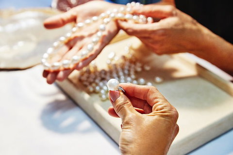 Cygnet Bay Explorer - Palm Beach Accommodation 7