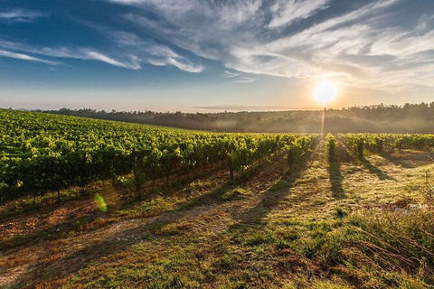 Perth To Margaret River Wine Tour - 2 Day Premium Boutique Wine Tour Experience - Palm Beach Accommodation 0