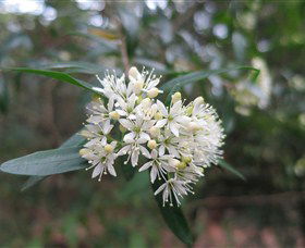Hmas Creswell NSW Palm Beach Accommodation