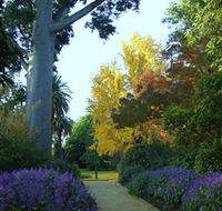 Albury Botanic Garden - Palm Beach Accommodation
