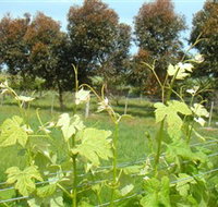 Barwon Ridge Wines - Palm Beach Accommodation