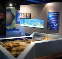 Marine and Freshwater Discovery Centre - Palm Beach Accommodation