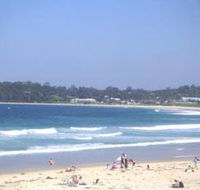 Mollymook Surf Beach - Palm Beach Accommodation
