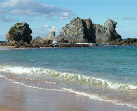  Palm Beach Accommodation