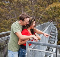 Valley of the Giants Tree Top Walk - Palm Beach Accommodation