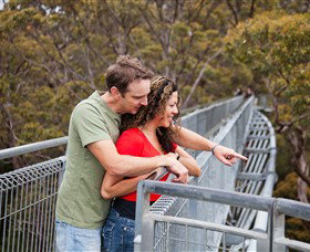Valley Of The Giants Tree Top Walk - Palm Beach Accommodation 0