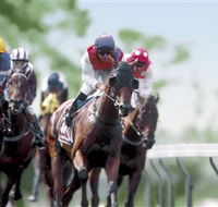 Colac Turf Club - Palm Beach Accommodation