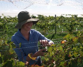 Kingsdale Wines - Palm Beach Accommodation 0
