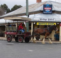 Bathurst Farm Experience - Palm Beach Accommodation