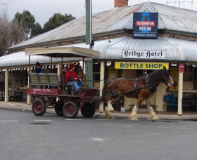 Bathurst Farm Experience - Palm Beach Accommodation 0