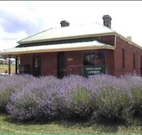 Lavender House in Railway Park - Palm Beach Accommodation