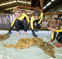 Australian Shark and Ray Centre - Palm Beach Accommodation